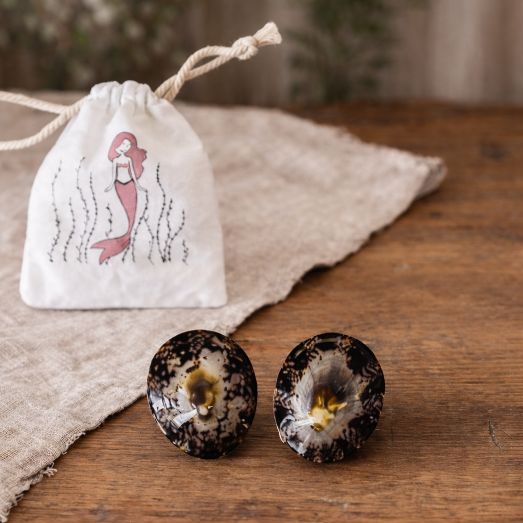 Coquillages d'allaitement naturels